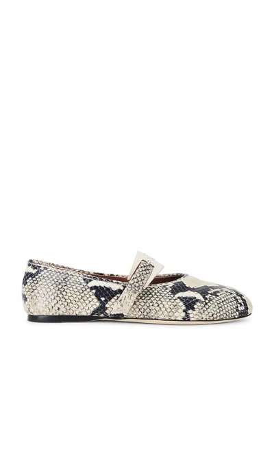 Paris Texas Sveva Embossed Buckle Ballet Flat Shoes In Multi