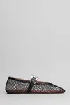 Paris Texas Sveva Buckle Ballet Flats Rouge Noir-black In Black