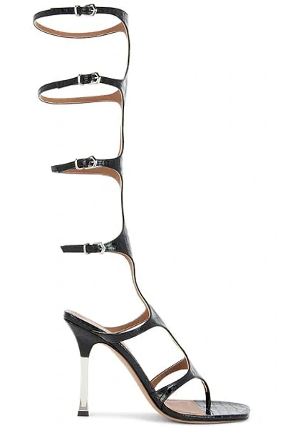 Paris Texas Uma 100 Knee High Sandal Heel In Carbone