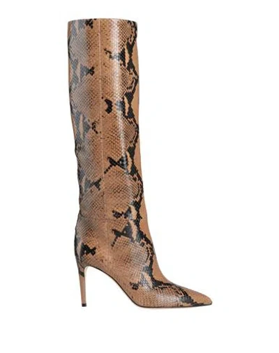 Paris Texas Woman Boot Camel Size 8 Leather In Brown