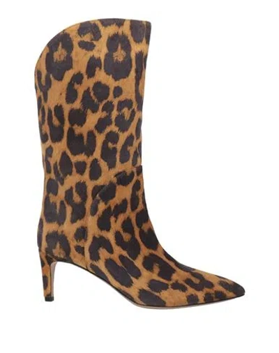 Paris Texas Woman Boot Camel Size 8 Leather In Sand