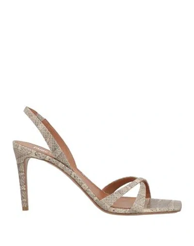 Paris Texas Woman Sandals Beige Size 11 Leather