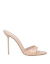 Paris Texas Woman Sandals Blush Size 11 Leather In Pink