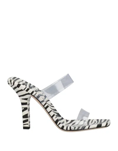 Paris Texas Sandals In Transparent
