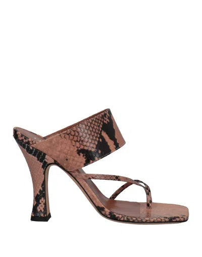 Paris Texas Toe Strap Sandals In Pink