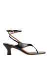 Paris Texas Leather Sandals With Ayers Effect In Black