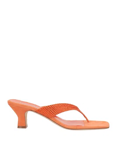 Paris Texas Toe Strap Sandals In Orange