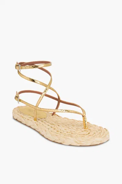 Paris Texas Women's Hydra Flat Sandal In Gold Natural