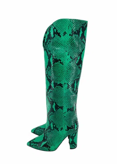Paris Texas Women Snake Print Leather Tall Boots In Green In Multi