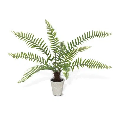 Park Hill Collection 18" Artificial Fern Tree In Pot