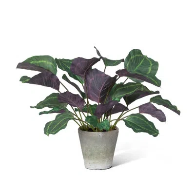 Park Hill Collection 26.0'' Faux Tree In Pot In Green;purple