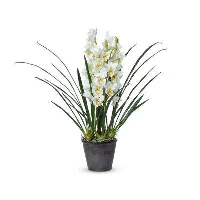 Park Hill Collection 40.0'' Faux Tree In Pot