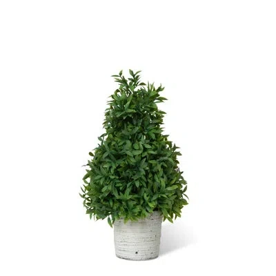 Park Hill Collection Artificial Dracaena Tree In Green