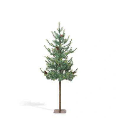 Park Hill Collection Blue Spruce Alpine Tree, 60" In Green