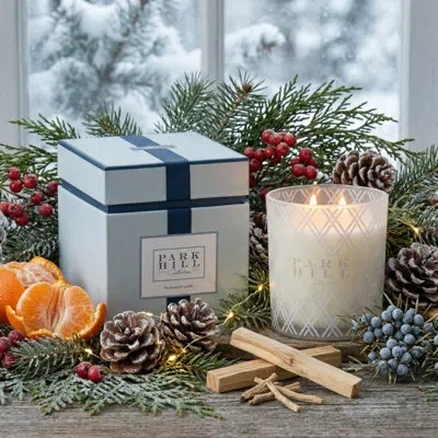Park Hill Collection Candles Best Tree Ever Perfumed Candle In White
