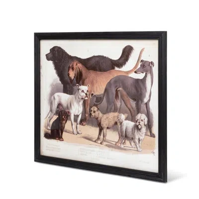 Park Hill Collection Domestic Dogs Framed Print In Brown;white
