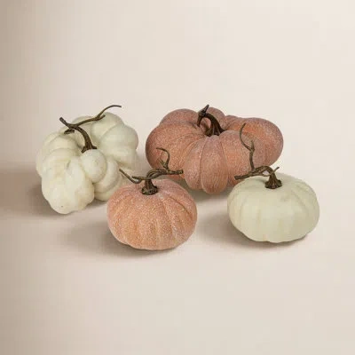 Park Hill Collection Fairytale Pumpkins, Set Of 4 In Multi