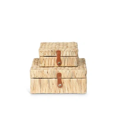 Park Hill Collection Island Palm Decorative Boxes, Set Of 2