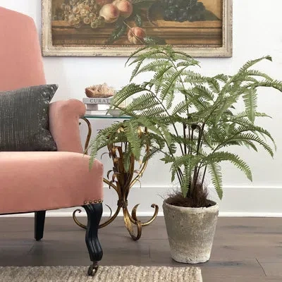 Park Hill Collection Large Flat Fern, Potted In Green
