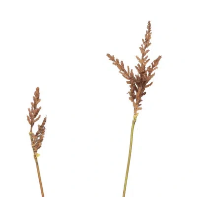 Park Hill Collection Pasture Grass Collection In Brown,green,white,yellow