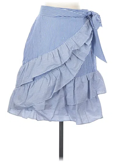Pre-owned Parker Casual Skirt In Blue