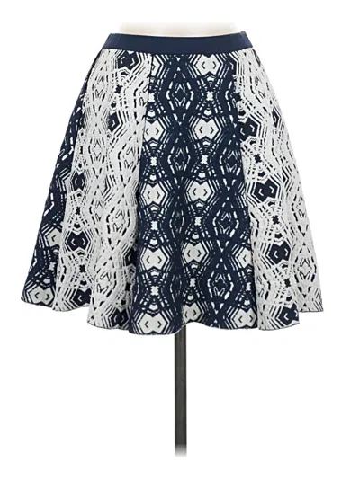 Pre-owned Parker Formal Skirt In Blue
