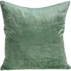 Parkland Collection Charlotte Transitional Throw Pillow In Green