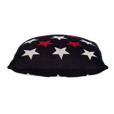 Parkland Collection The Stars Transitional Navy Blue Throw Pillow