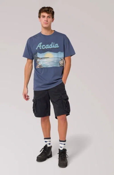 Parks Project Acadia National Park Vintage Tee