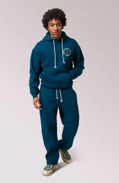 Parks Project Forest Forager Hoodie