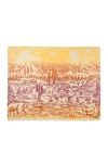 Parks Project Iconic Parks Ombre High Pile Fleece Throw Blanket
