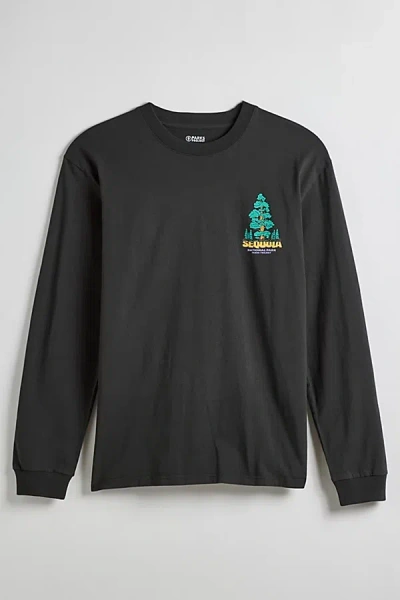 Parks Project Sequoia National Park Long Sleeve Tee In Vintage Black, Men's At Urban Outfitters