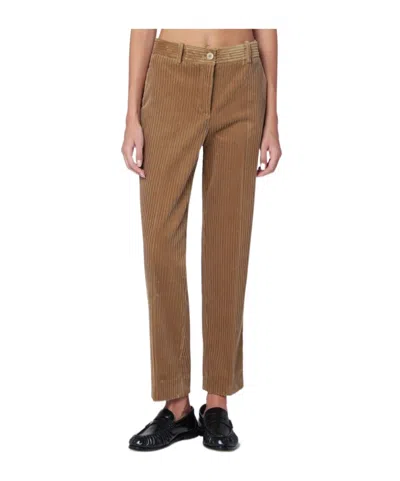 P.a.r.o.s.h Belt Loop Casual Pants In Brown