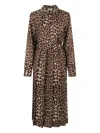 P.a.r.o.s.h Belted Animal-print Dress In Animal Print