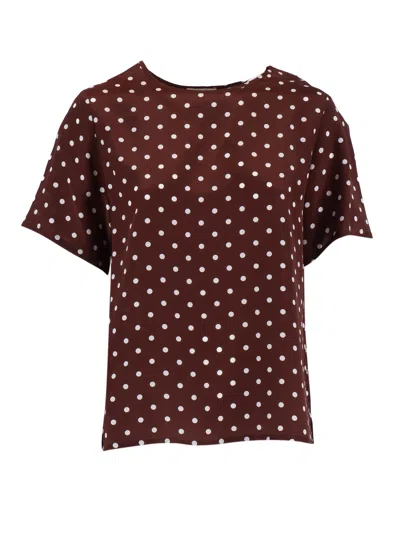 P.a.r.o.s.h Blouse In Brown