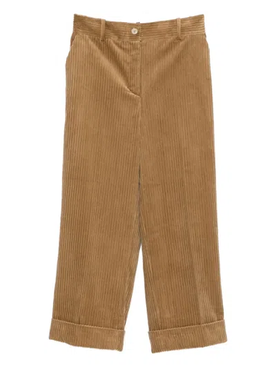 P.a.r.o.s.h Corduroy Cuffed Pants In Brown