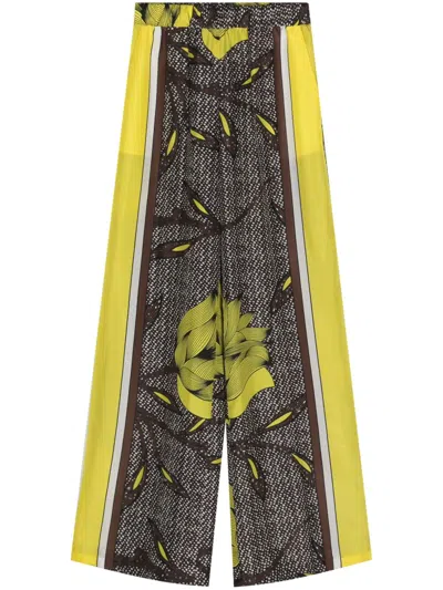 P.a.r.o.s.h Floral-print Silk Trousers In Brown
