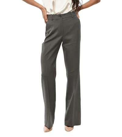 P.a.r.o.s.h Green Tailored Flat Front Pants In Gray