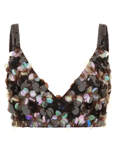 P.a.r.o.s.h Flower Embroidered Bra In Brown