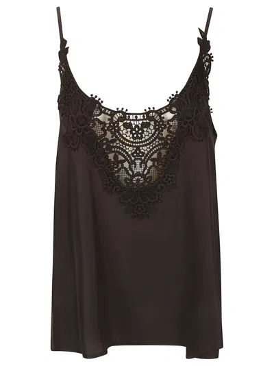 P.a.r.o.s.h . Lace Top In Brown