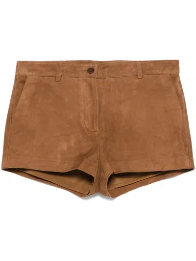 P.a.r.o.s.h Monet Shorts In Brown