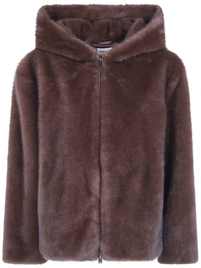 P.a.r.o.s.h P. A.r. O.s. H. Jacket Hooded "fantasy Brown" In Burgundy