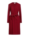 P.a.r.o.s.h P. A.r. O.s. H. Woman Midi Dress Burgundy Size L Polyester, Elastane In Red