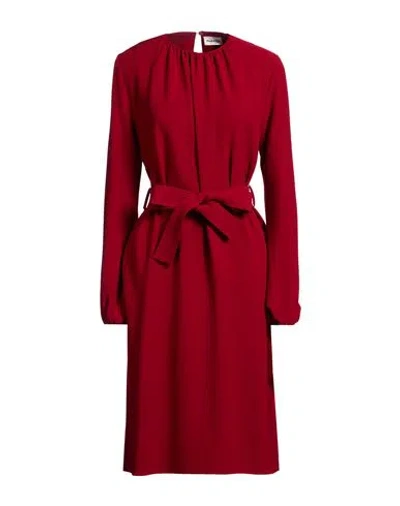 P.a.r.o.s.h P. A.r. O.s. H. Woman Midi Dress Burgundy Size M Polyester, Elastane In Red