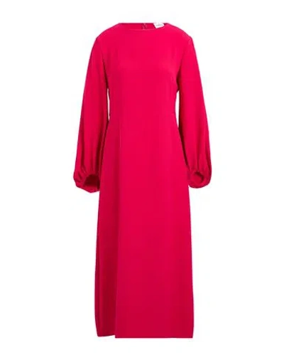 P.a.r.o.s.h P. A.r. O.s. H. Woman Midi Dress Fuchsia Size M Polyester In Pink