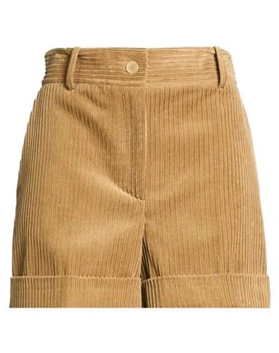 P.a.r.o.s.h P. A.r. O.s. H. Woman Shorts & Bermuda Shorts Camel Size M Cotton In Brown