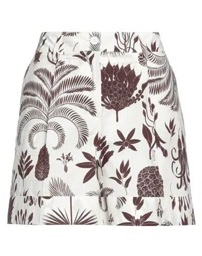 P.a.r.o.s.h P. A.r. O.s. H. Woman Shorts & Bermuda Shorts Chocolate Brown Size Xs Cotton