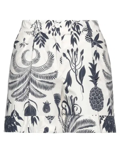 P.a.r.o.s.h P. A.r. O.s. H. Woman Shorts & Bermuda Shorts Lead Size M Cotton In Grey