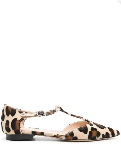 P.a.r.o.s.h . Pointed Leopard Shoes In Fantasia Marrone