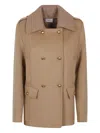 P.a.r.o.s.h Parosh Pure Wool Jacket With Gold Button Closure And Ribbed Knit Collar In Brown